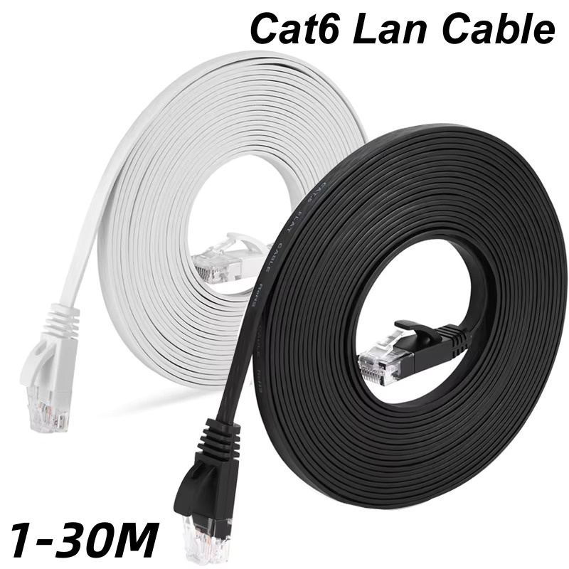 Power Over Ethernet - 1000Mbps フラットイーサネット Cat6 LAN 10m UTP